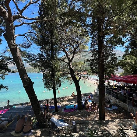 A&M Cavtat Family Apartment - 3 Bedrooms And Free Parking Exteriör bild