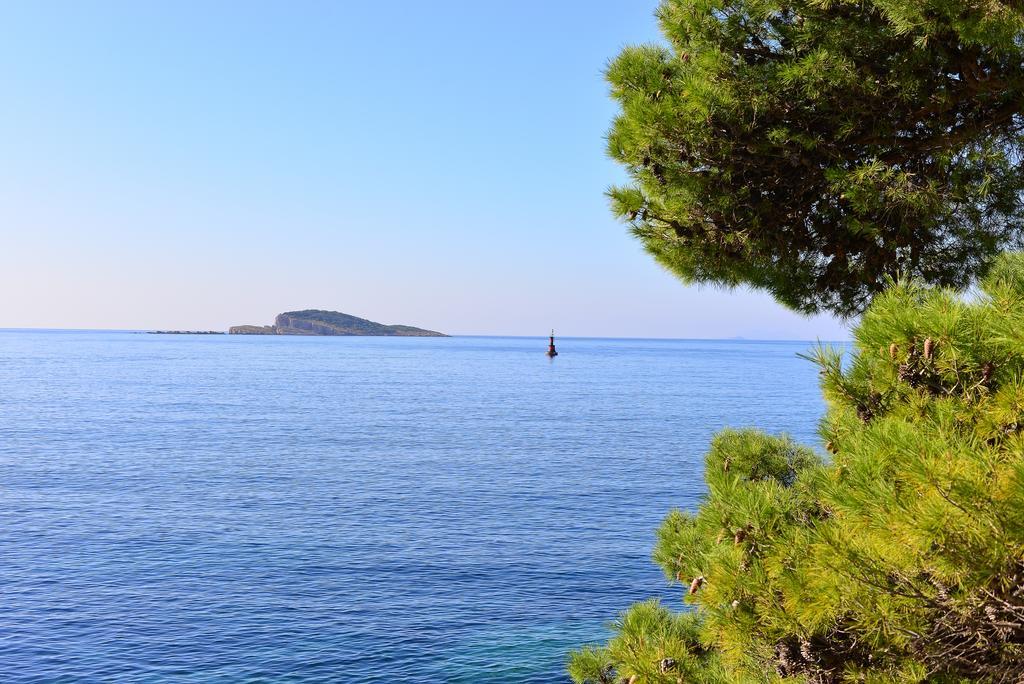 A&M Cavtat Family Apartment - 3 Bedrooms And Free Parking Exteriör bild