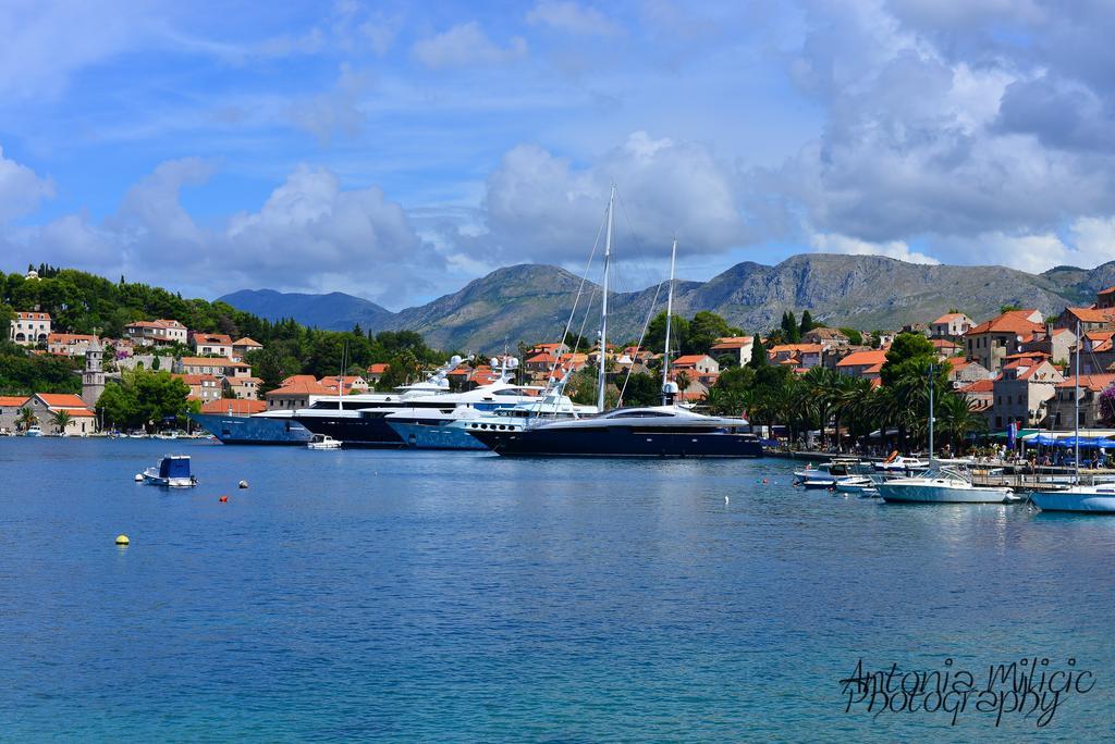 A&M Cavtat Family Apartment - 3 Bedrooms And Free Parking Exteriör bild